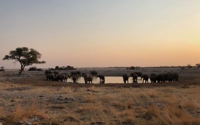 Musings on Traveling Namibia: One+ Year Later