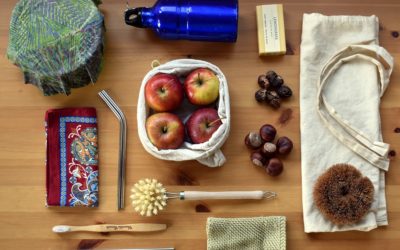 Low-impact Travel and Zero-waste Living with Genevieve Livingston of Eco Collective