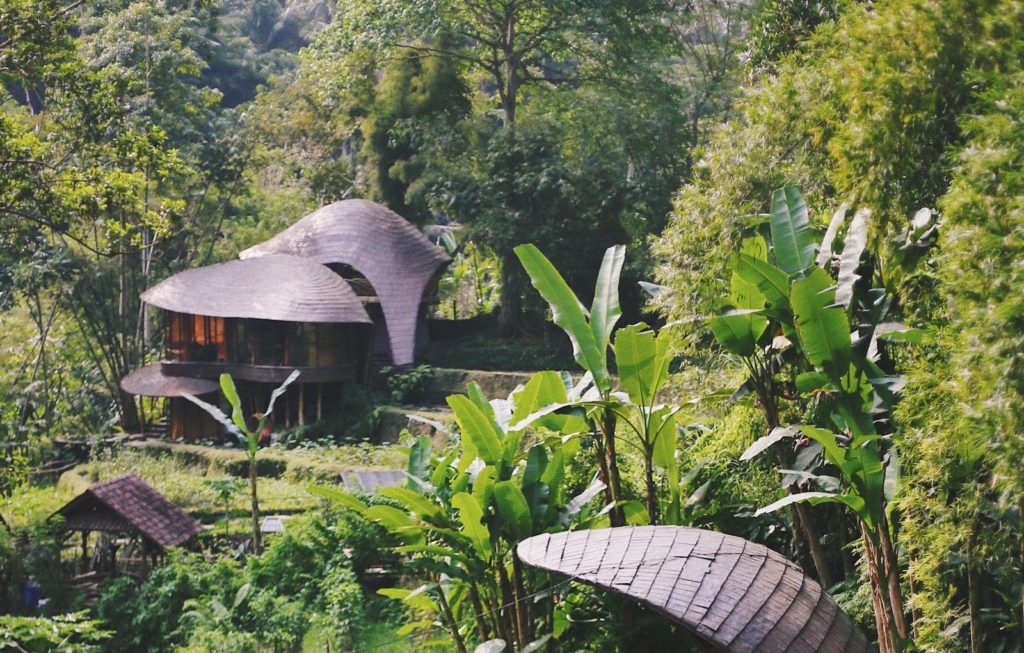 Sustainable accommodations in the jungle