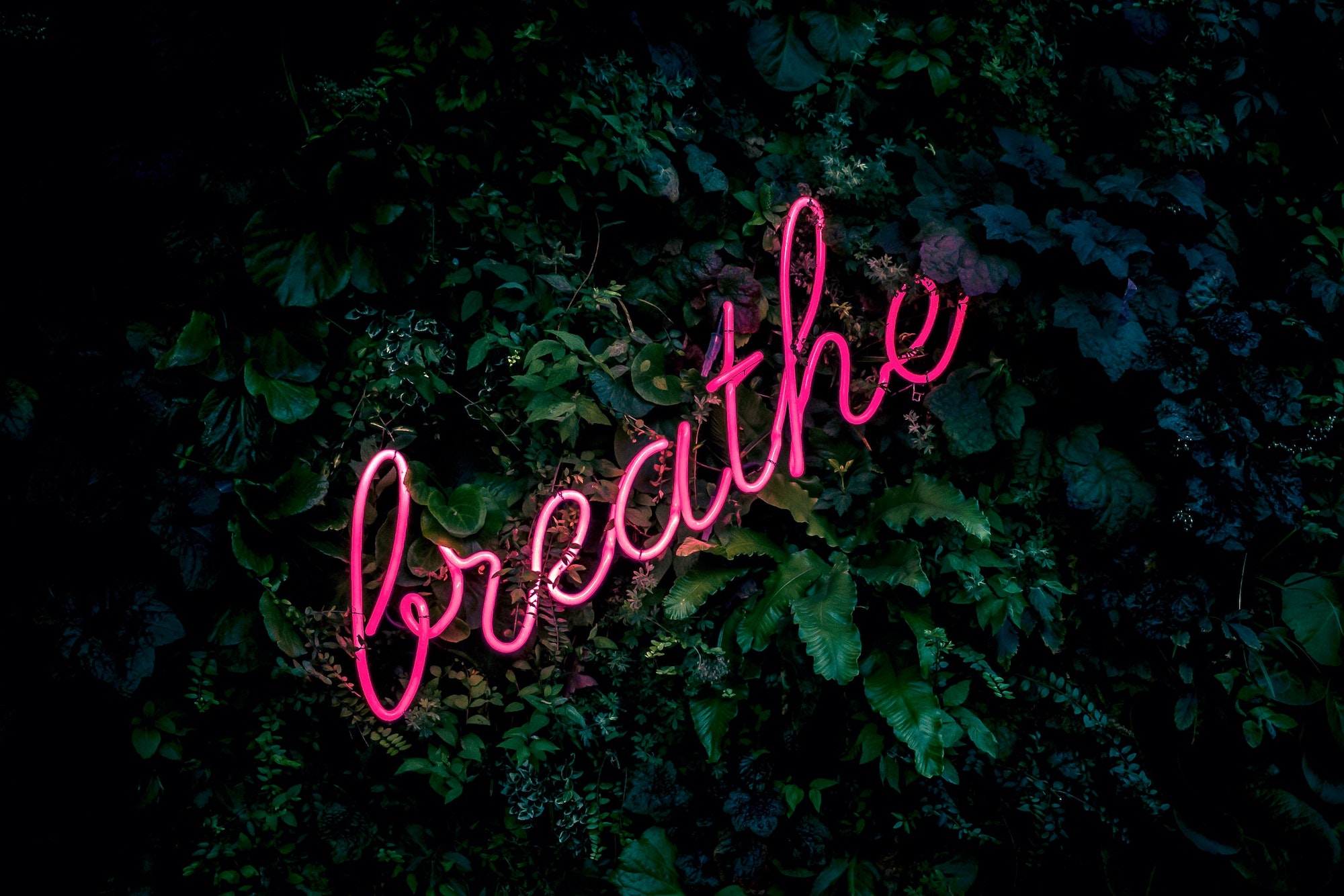breathing for mindfulness and self-compassion