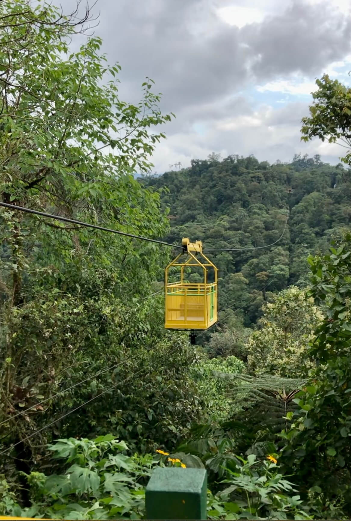 Short breaks to the Cloud Forest